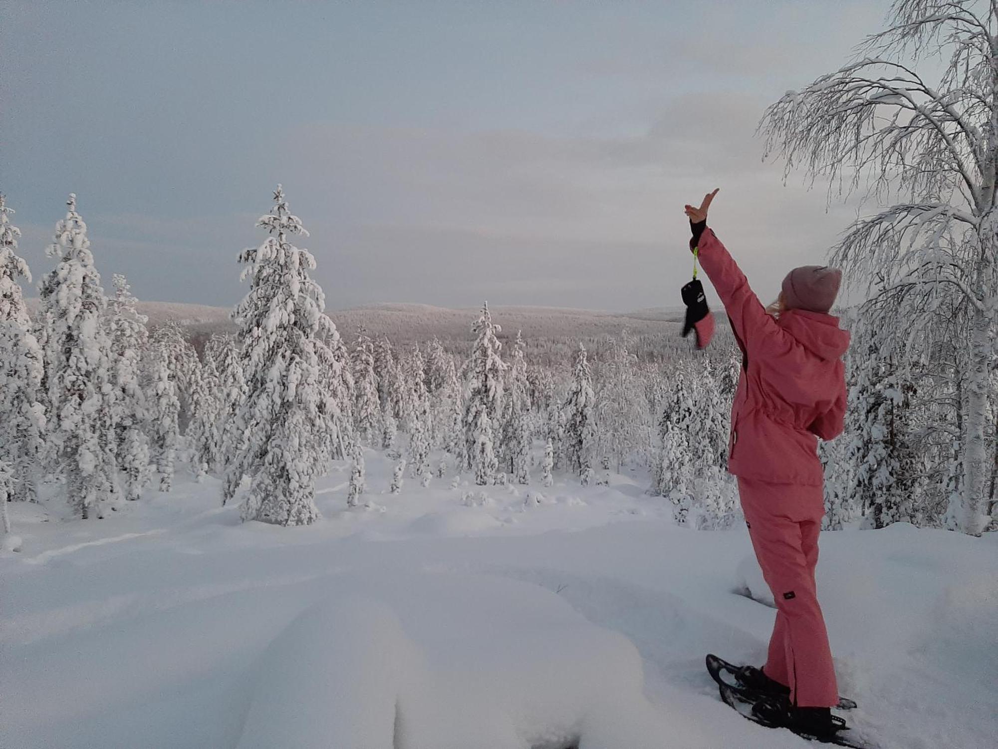 Kotimajoitukset Experience Accommadation Eco-unela Rovaniemi