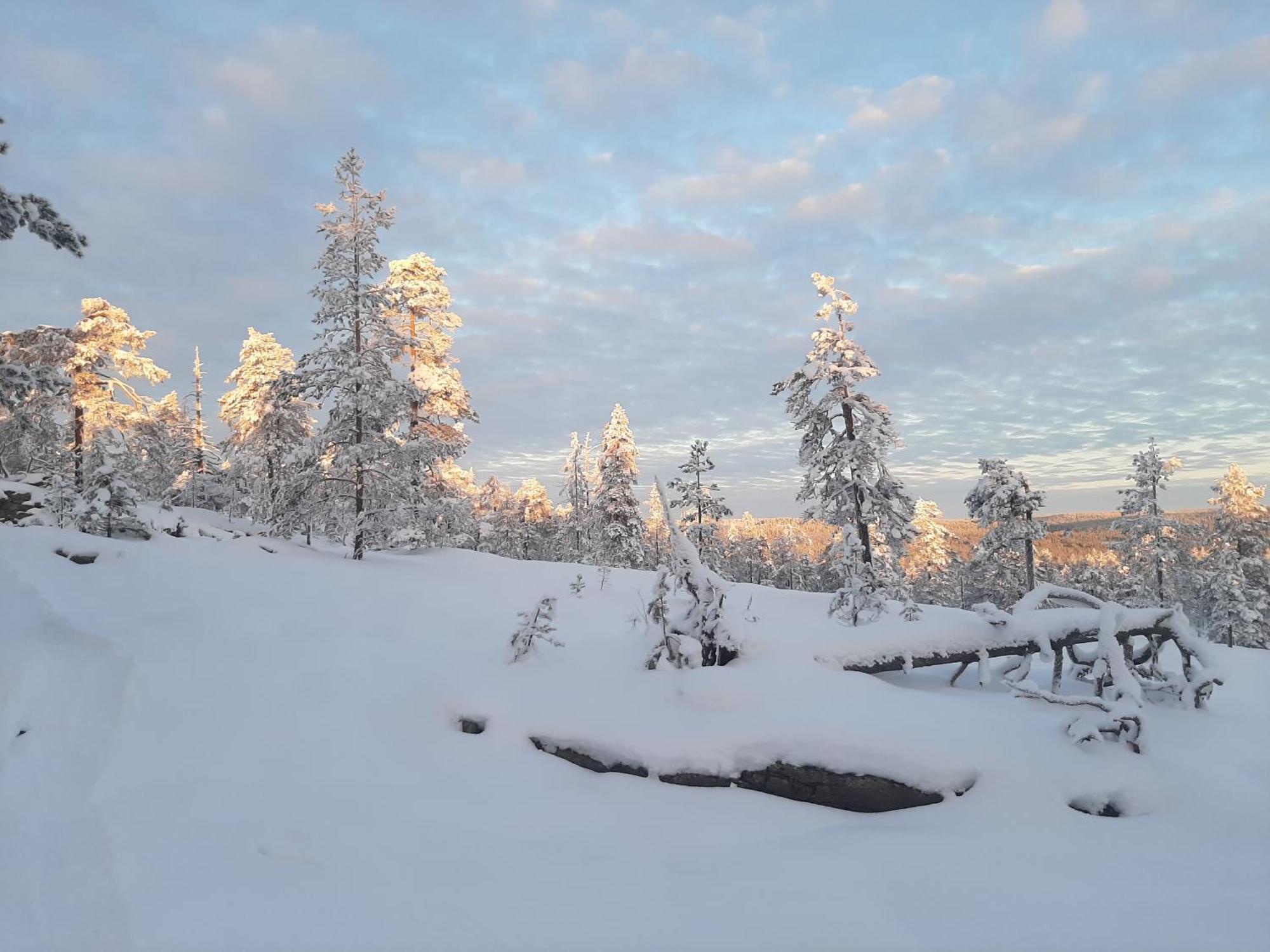 Experience Accommadation Eco-unela * Rovaniemi