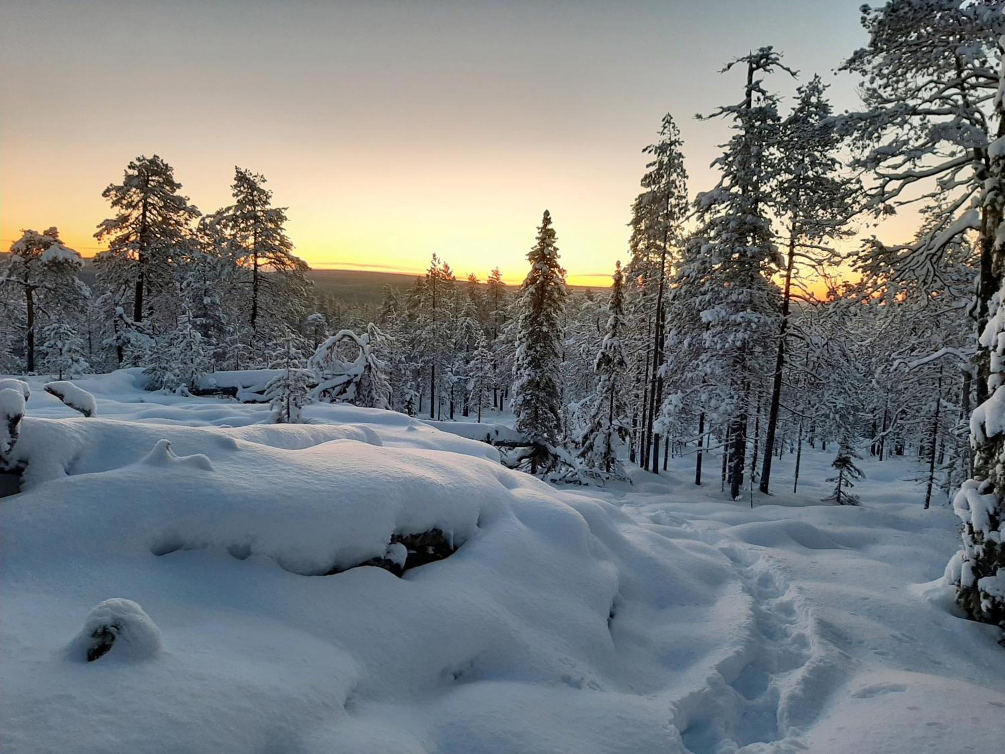 Experience Accommadation Eco-unela * Rovaniemi