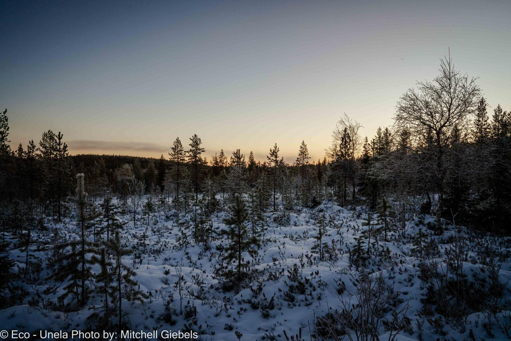 Experience Accommadation Eco-unela Rovaniemi